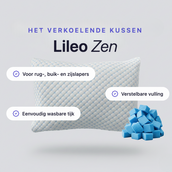 Lileo Premium Kopfkissen